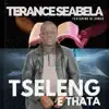 Terance Seabela - Tseleng e thata (feat. Dj sunco) - Single